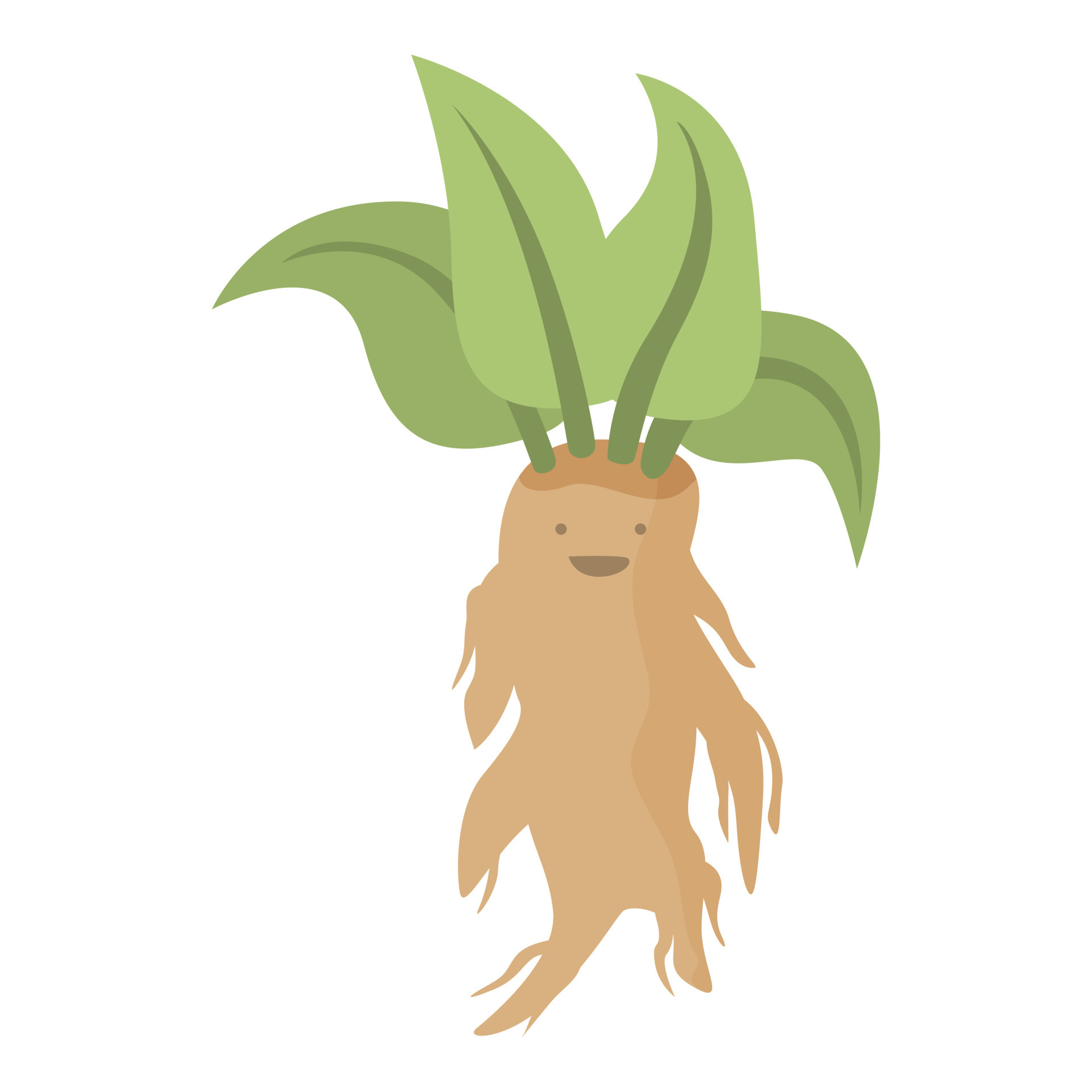 Mandrake personagem ícone desenho animado vetor raiz mágica