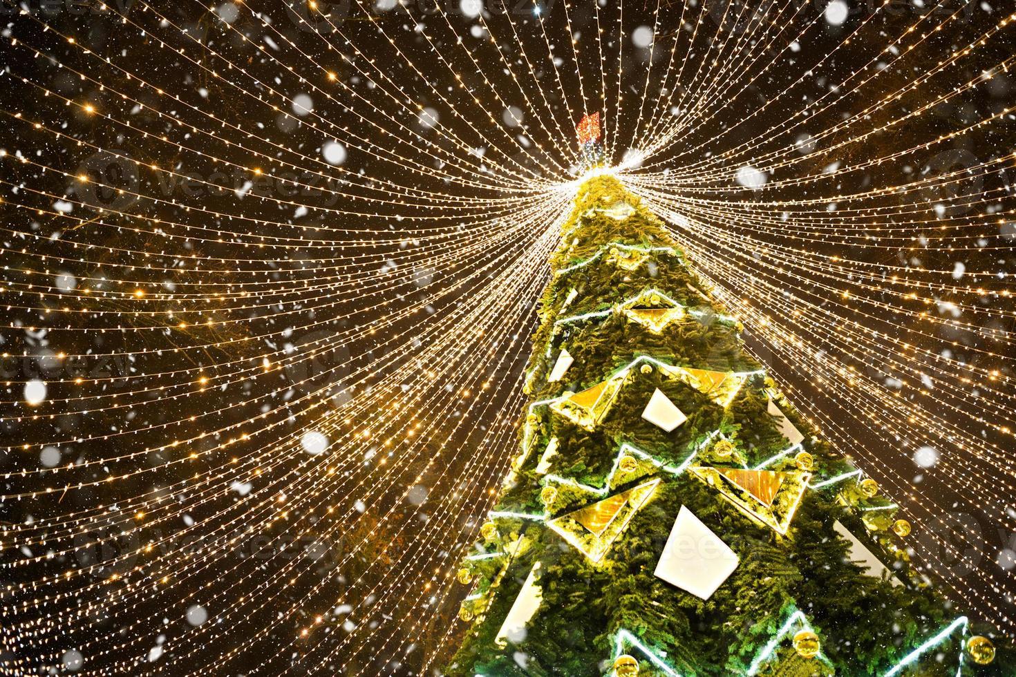 High city Christmas tree in the park with a cap of lights garlands, glows at night on the street. Christmas, new year, decoration of the city. Kaluga, Russia photo