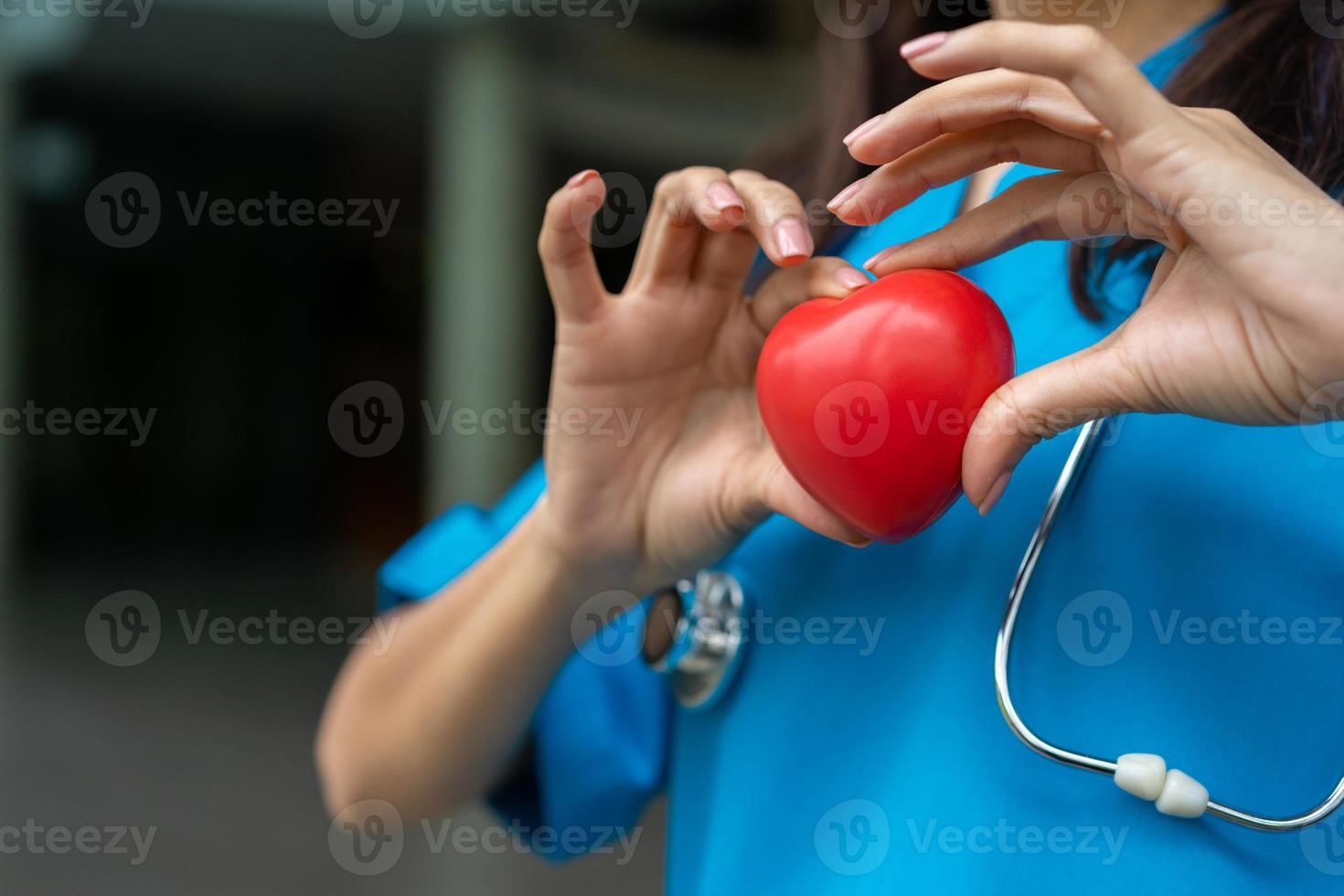Female Cardiovascular disease doctor or cardiologist with stethoscope holding red heart, Medical health care and doctor staff service concept. photo