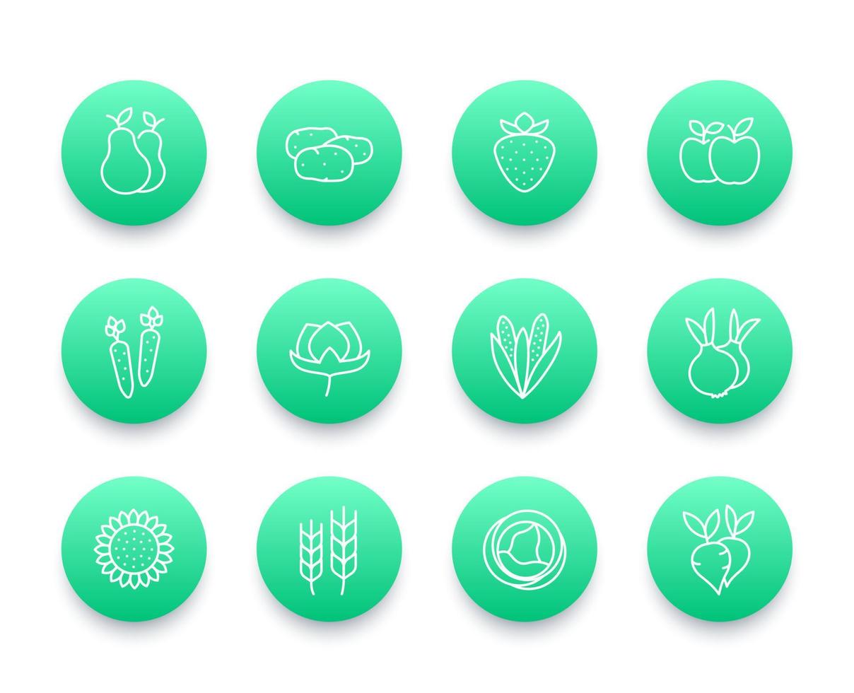 Harvest, farming line icons set vector