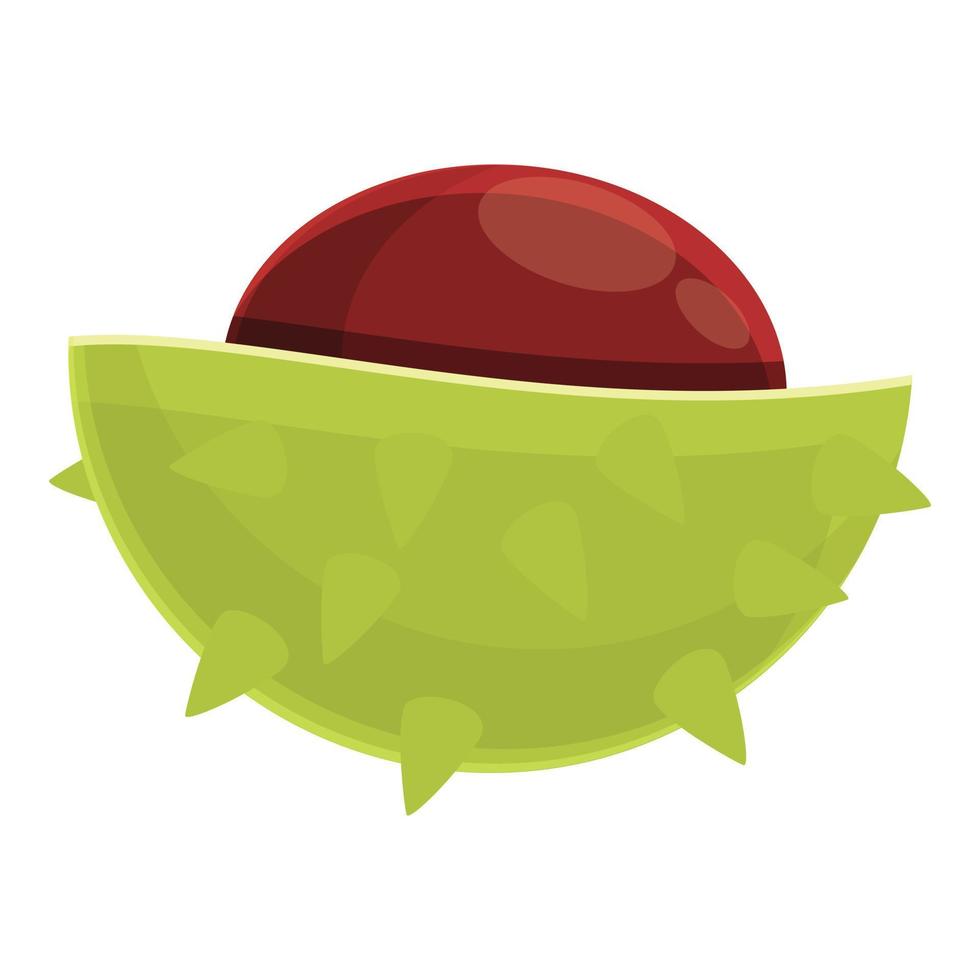 Half chestnut icon, cartoon style vector