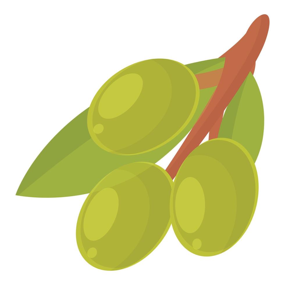 icono de aceitunas verdes vector de dibujos animados. comida de oliva