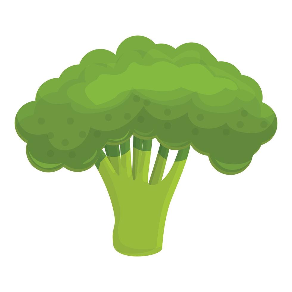 Harvest broccoli icon, cartoon style vector