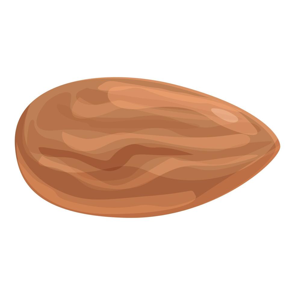 vector de dibujos animados de icono de tuerca de almendra. comida fruta