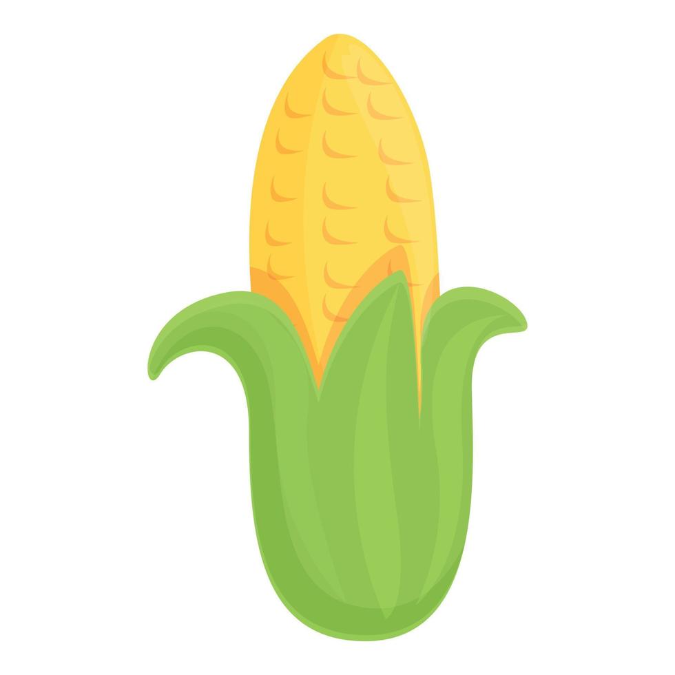 Corn icon cartoon vector. Sweet grain vector