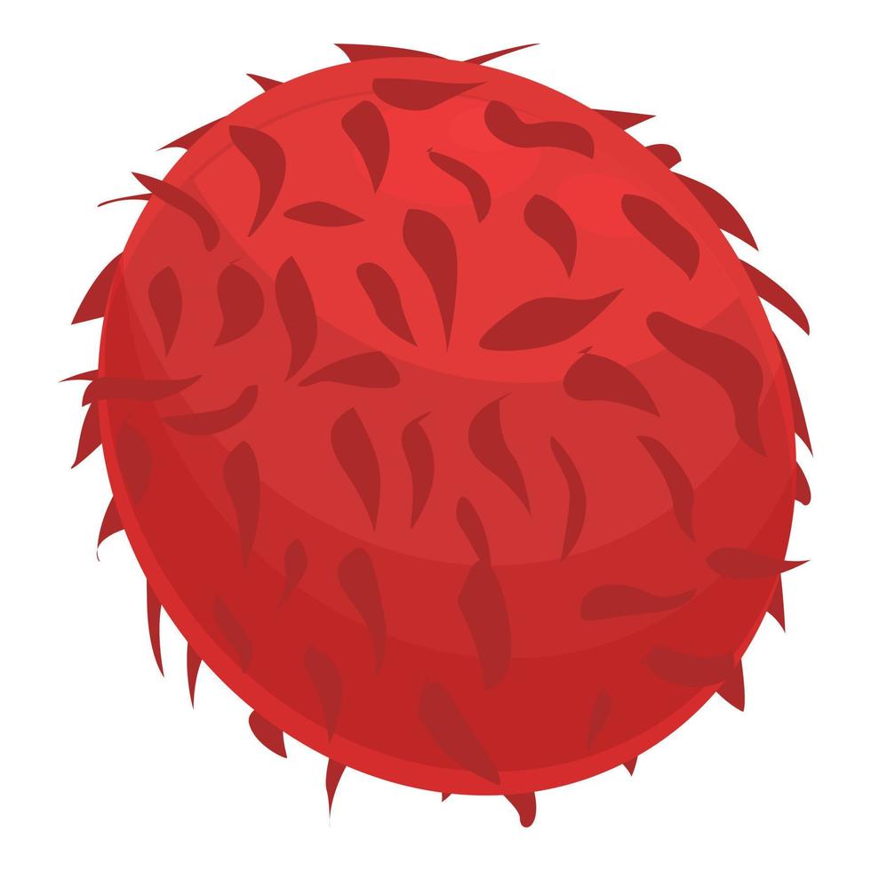 vector de dibujos animados de icono de rambután. frutas tropicales