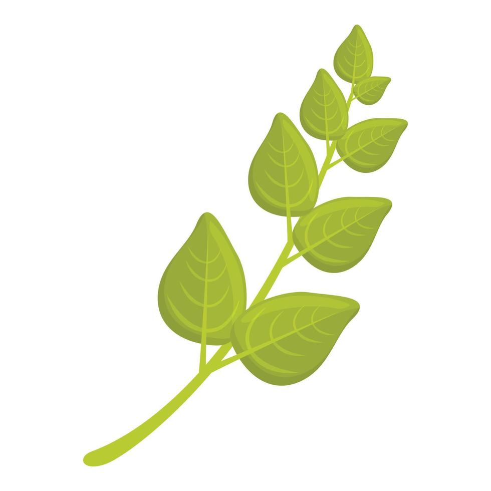 Oregano herb icon cartoon vector. Plant leaf vector