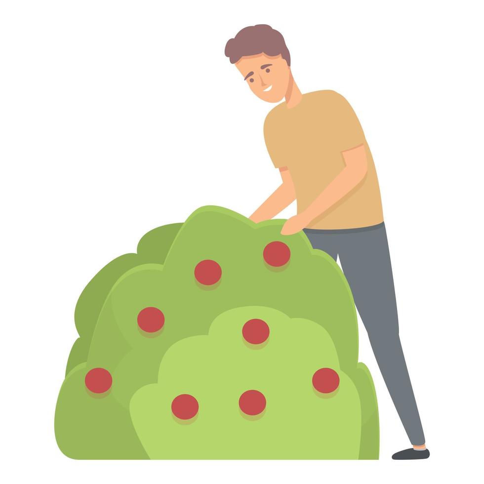 vector de dibujos animados de icono de arbusto de fruta. jardinero