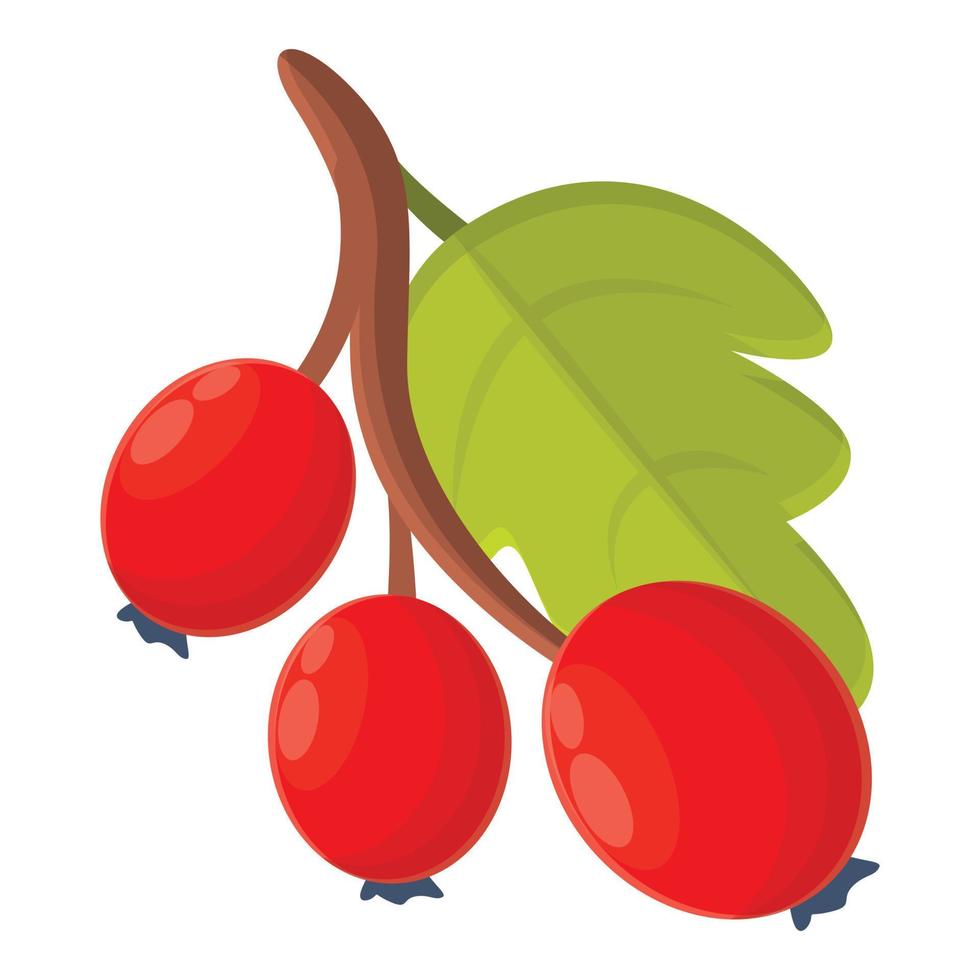 Hawthorn plant icon, cartoon style vector