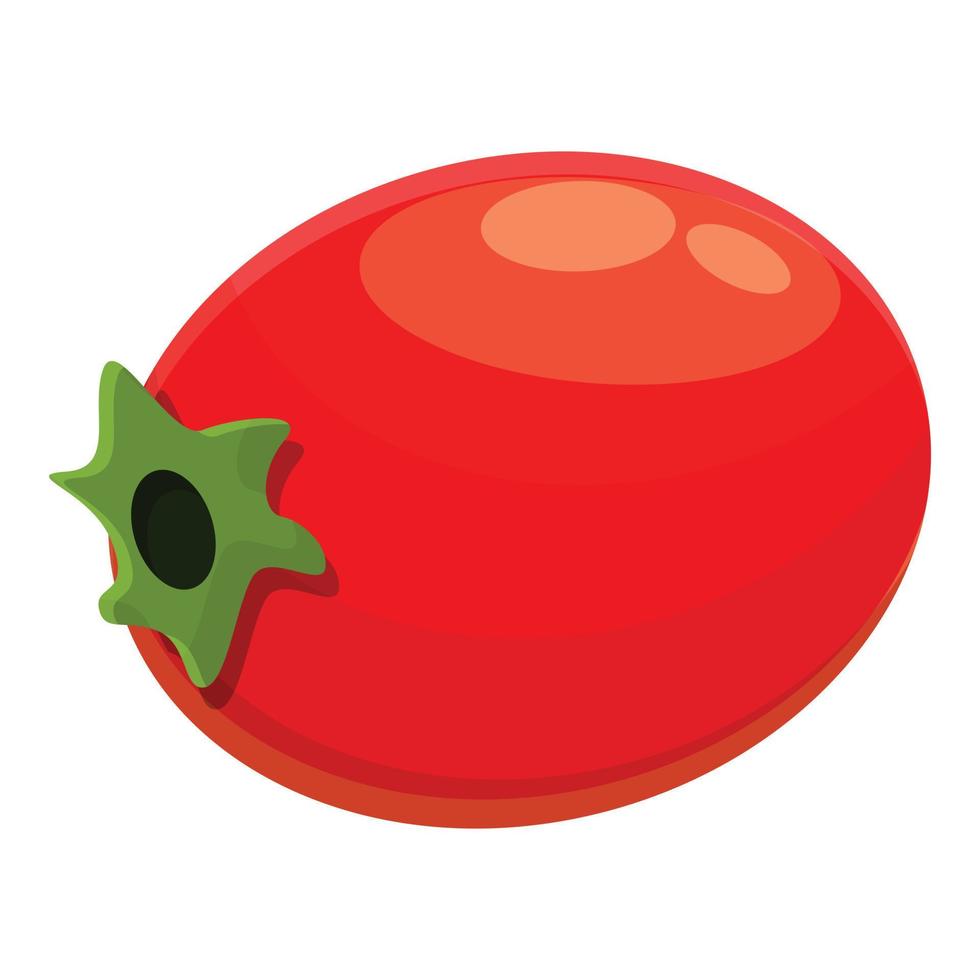 Summer hawthorn icon, cartoon style vector