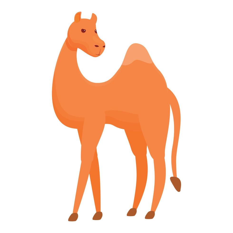 icono de camello lindo, estilo de dibujos animados vector