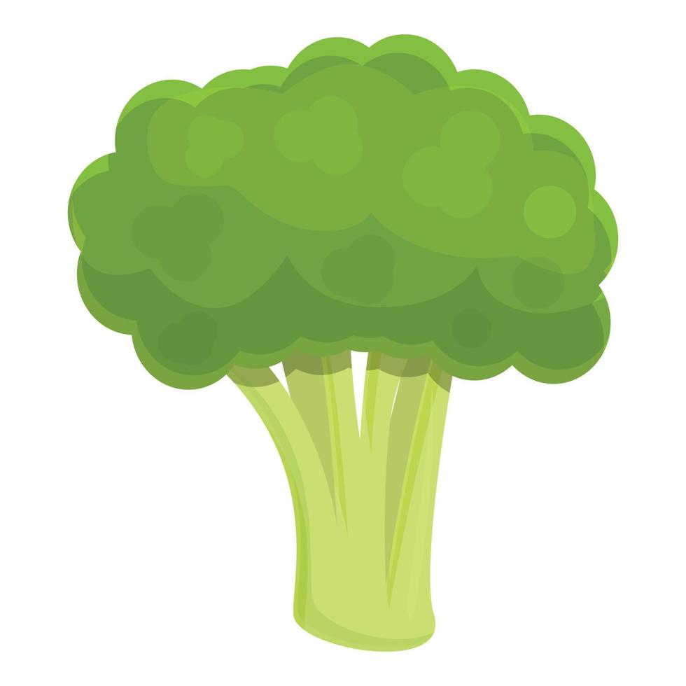 Gastronomy broccoli icon, cartoon style vector