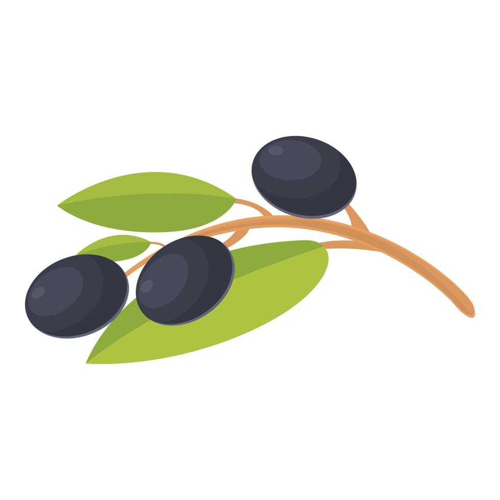 Black olives tree icon cartoon vector. Virgin food vector