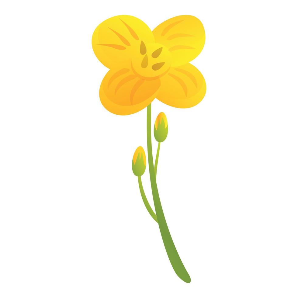 Canola bio eco plant icon, cartoon style vector