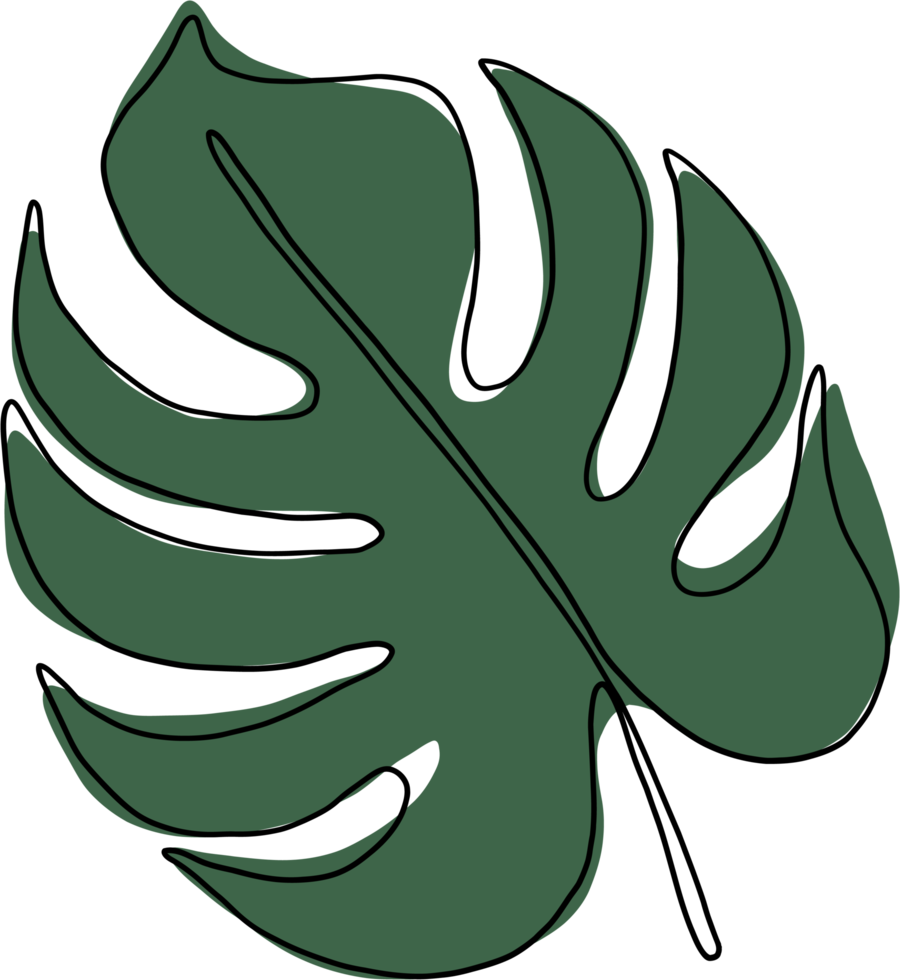 simplicity monstera leaf freehand continuous line drawing png