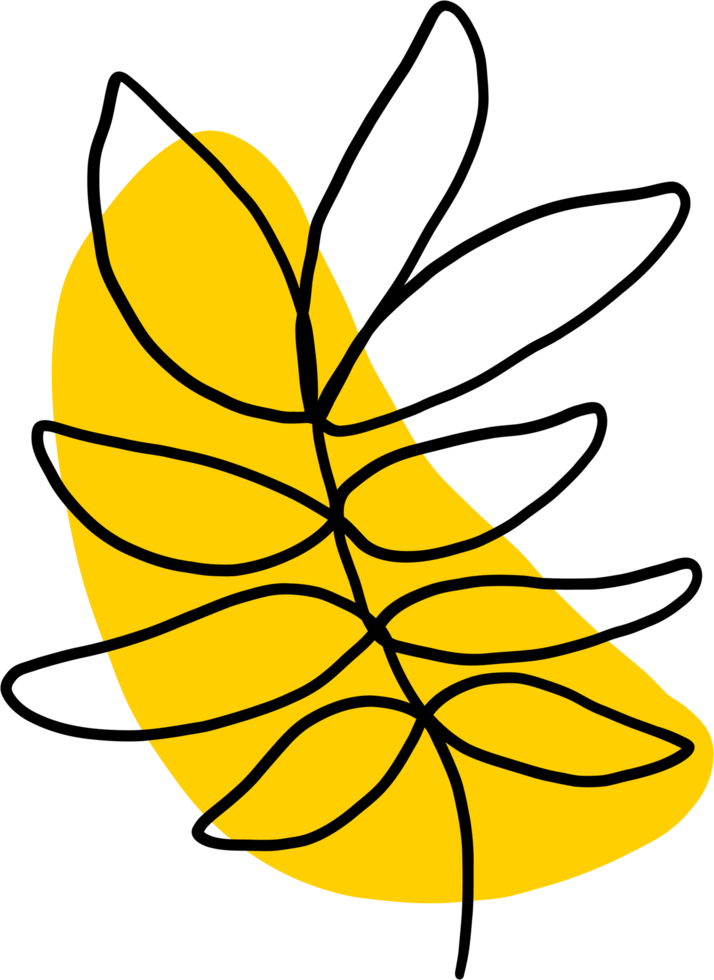 simplicity floral freehand drawing flat design. png