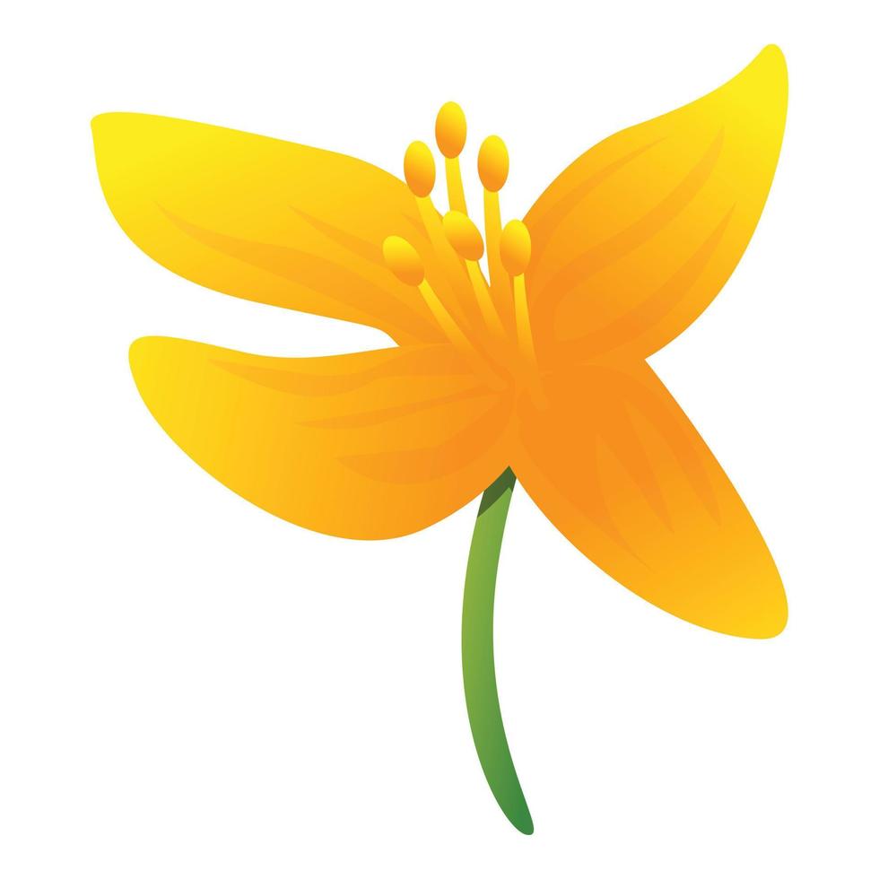 Celandine yellow flower icon, cartoon style vector