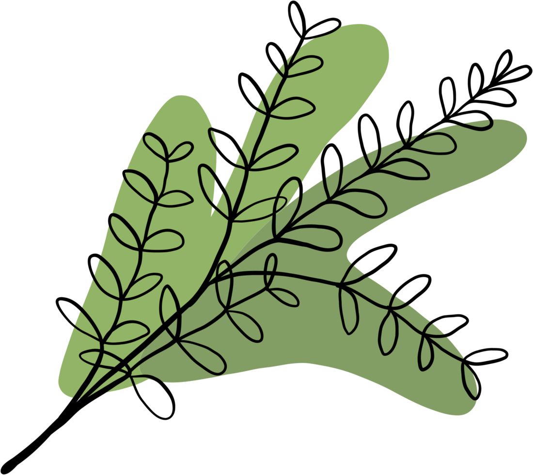 simplicity floral freehand continuous line drawing png
