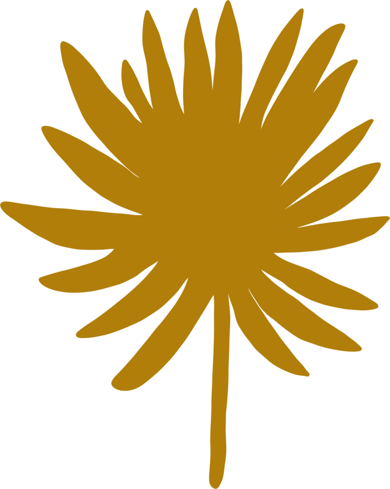 simplicity floral freehand drawing flat design. png