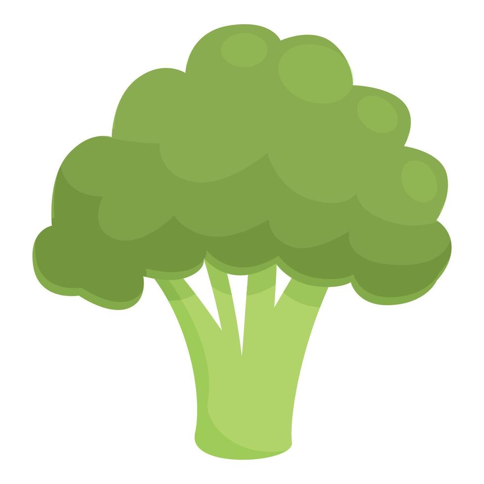 Broccoli lutein icon cartoon vector. Eye food vector