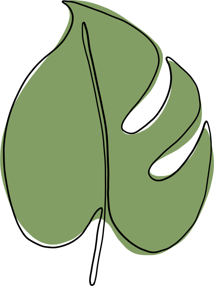 simplicity monstera leaf freehand continuous line drawing png