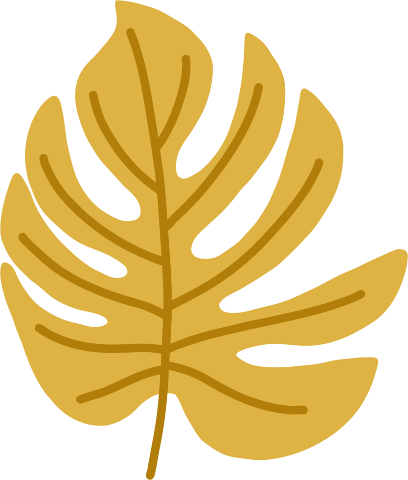 simplicité feuille de monstera dessin au trait continu à main levée design plat. png