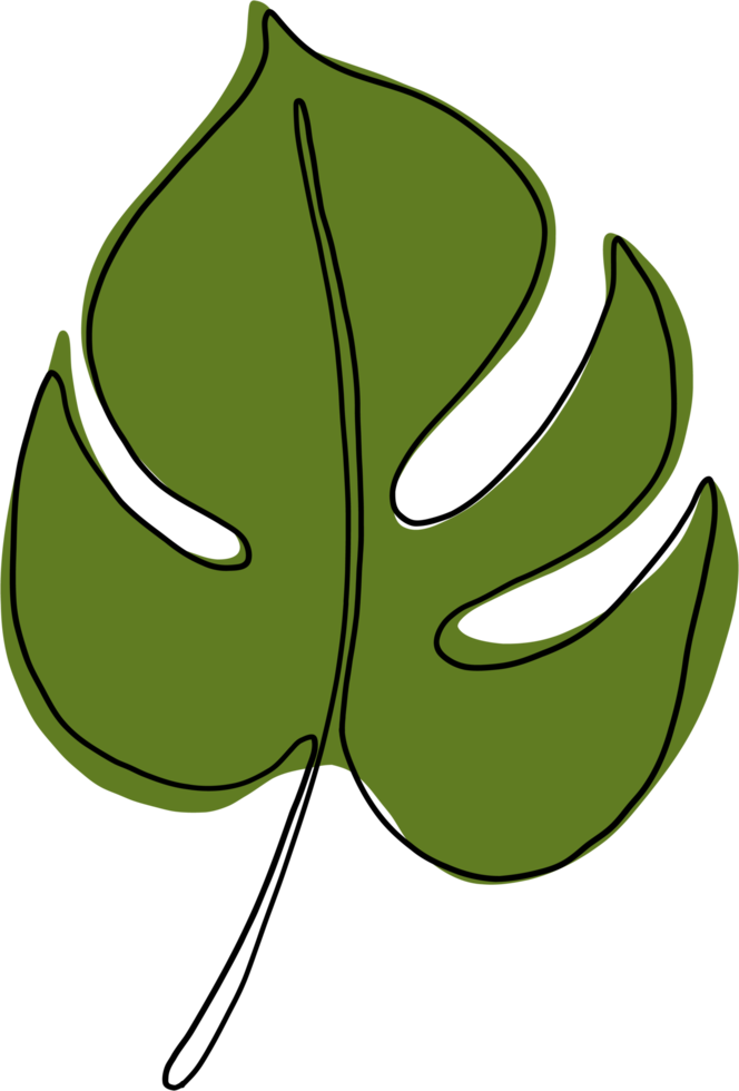 simplicity monstera leaf freehand continuous line drawing png