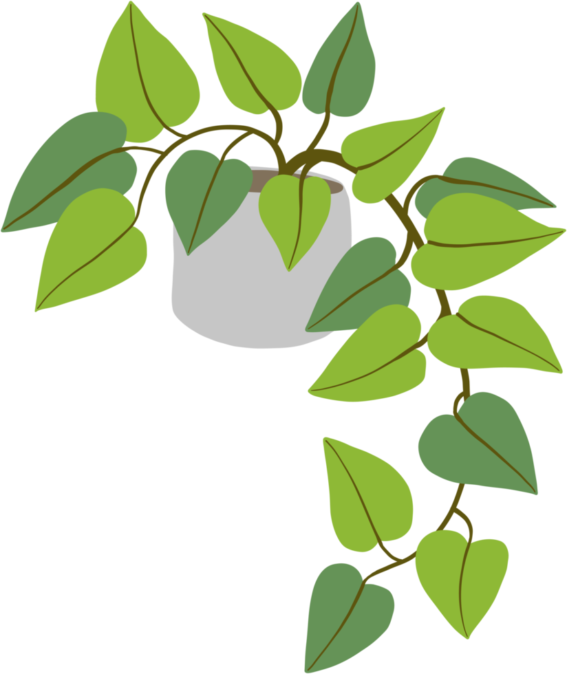 Simplicity ivy freehand drawing png