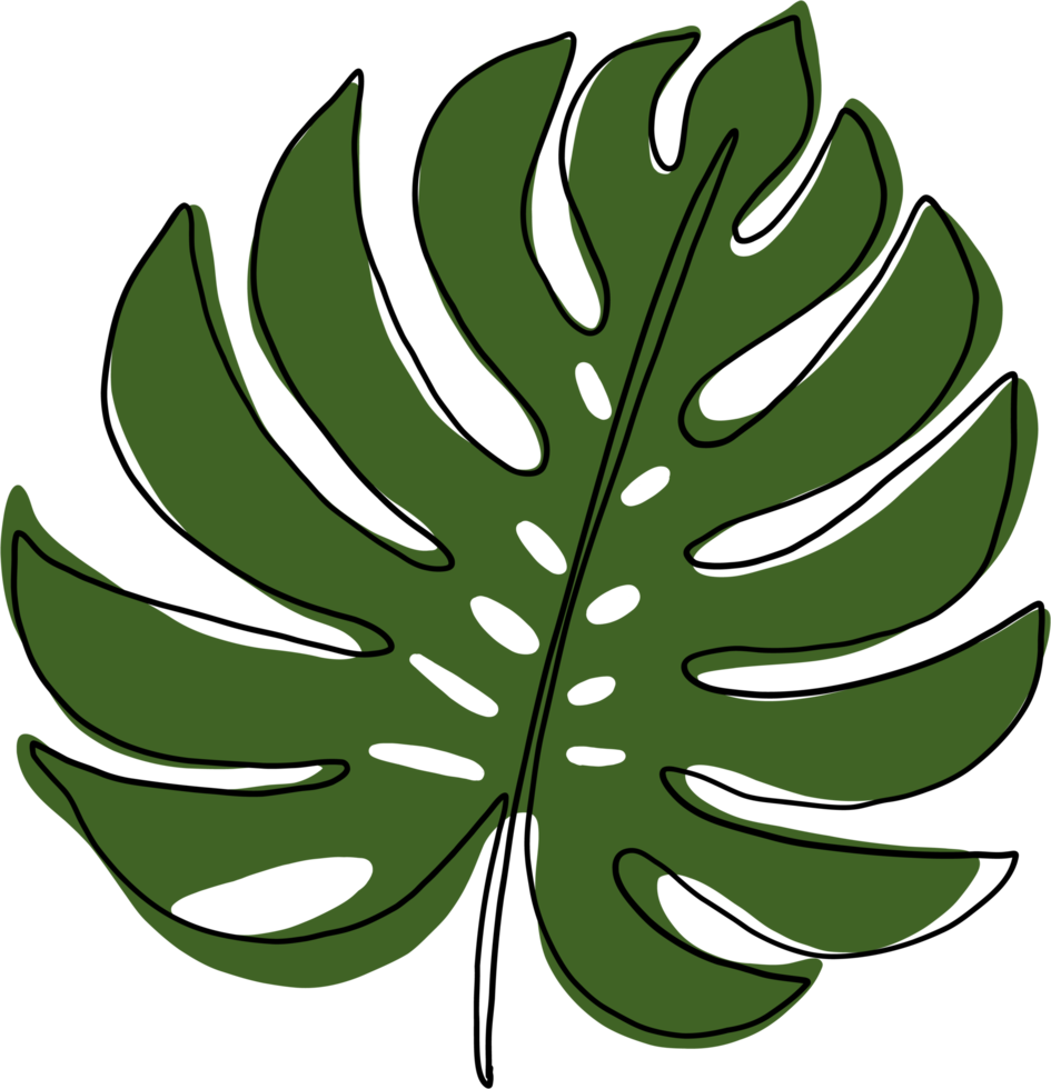 simplicity monstera leaf freehand continuous line drawing png