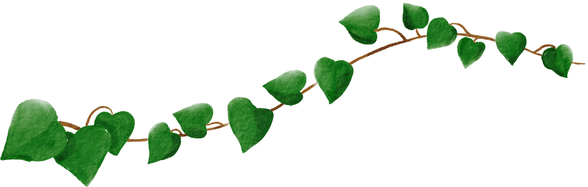 cutout ivy plant watercolor simplicity painting. png
