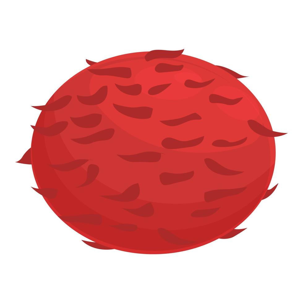 Whole rambutan icon cartoon vector. Tropical fruit vector