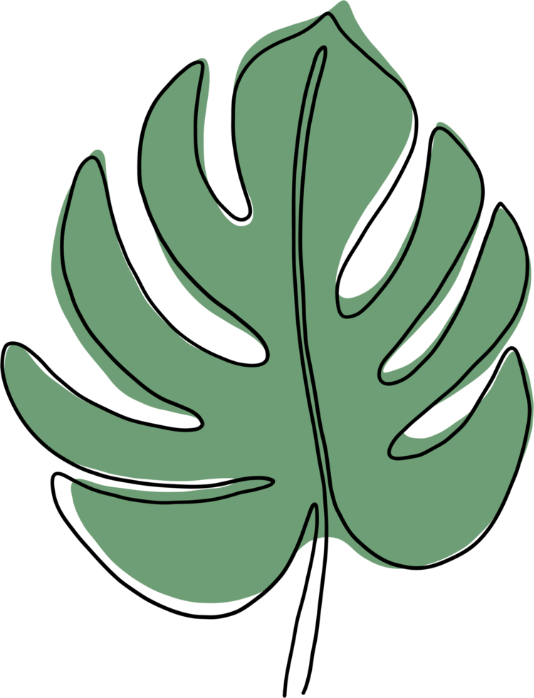 simplicity monstera leaf freehand continuous line drawing png