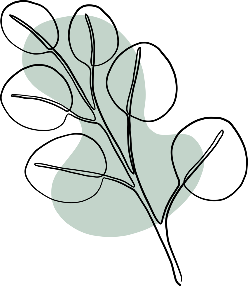 simplicity floral freehand continuous line drawing png