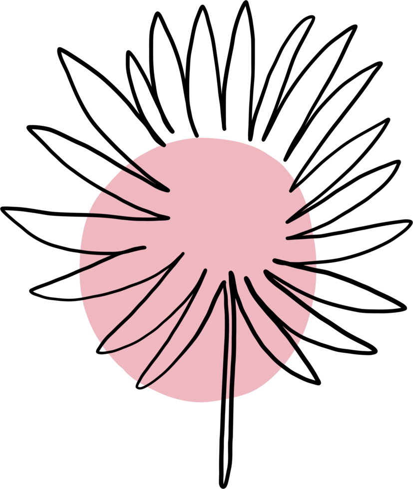 simplicity floral freehand drawing flat design. png