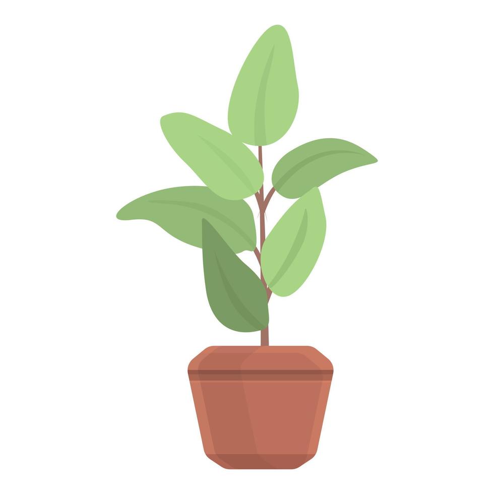 icono de maceta de planta de ficus, estilo de dibujos animados vector