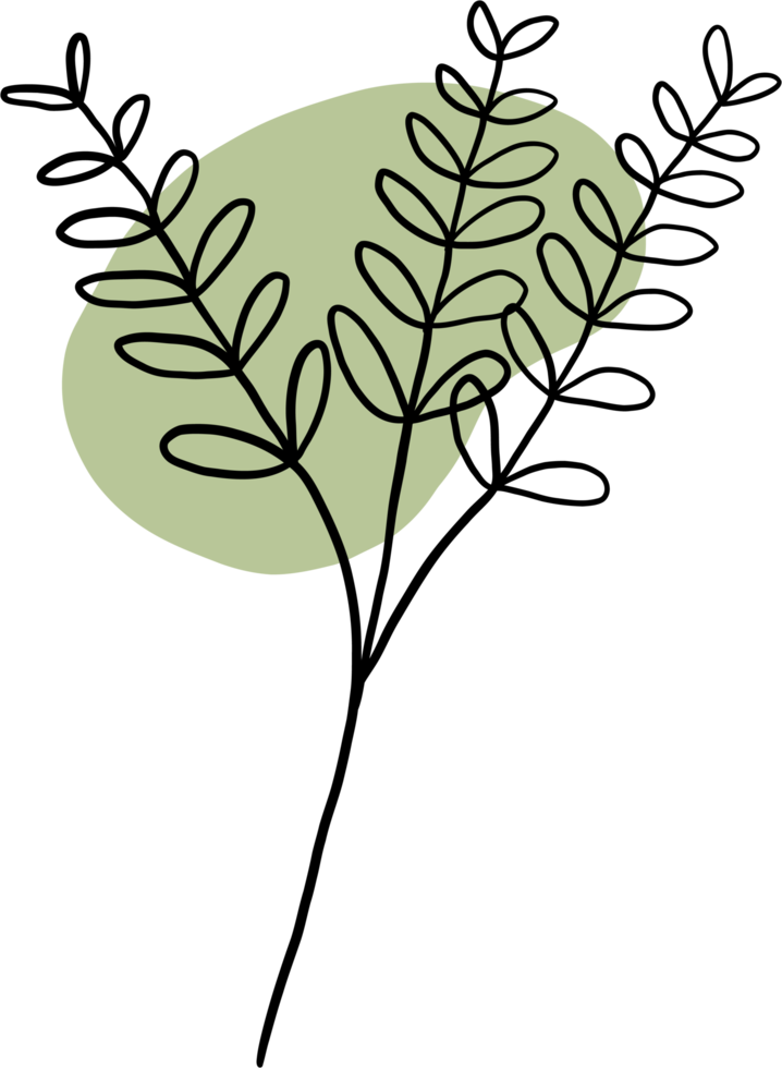 simplicity floral freehand continuous line drawing png