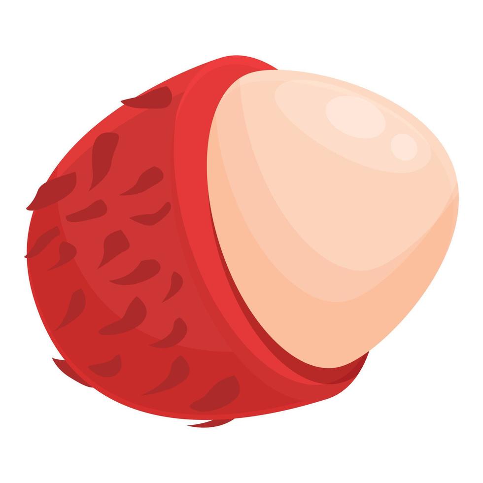 Asian rambutan icon cartoon vector. Tropical nutrition vector