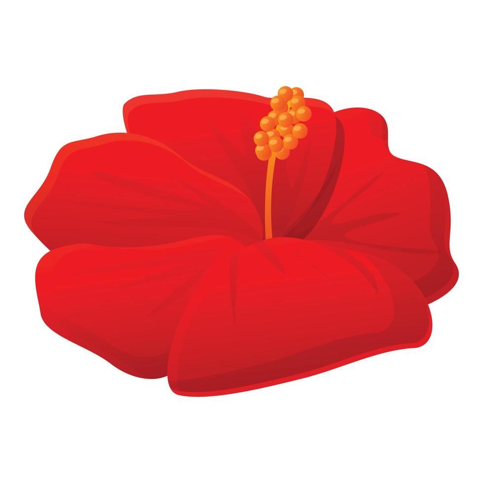 Mallow hibiscus icon, cartoon style vector