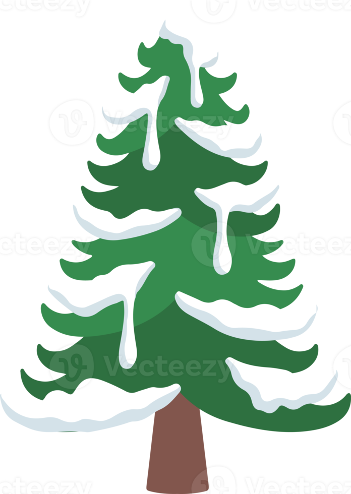 Watercolor Snowy Fir Tree png