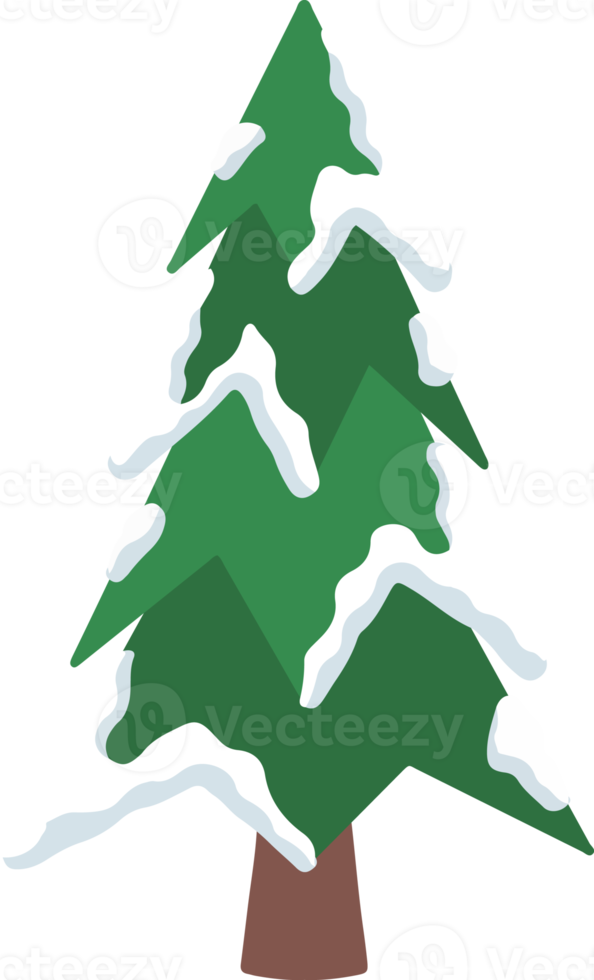 Snow Pine Tree Watercolor png