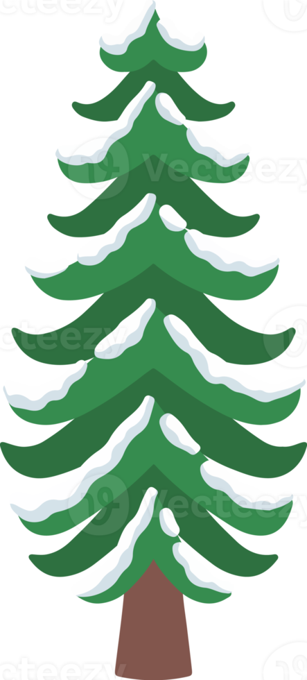 Snow Pine Tree Watercolor png