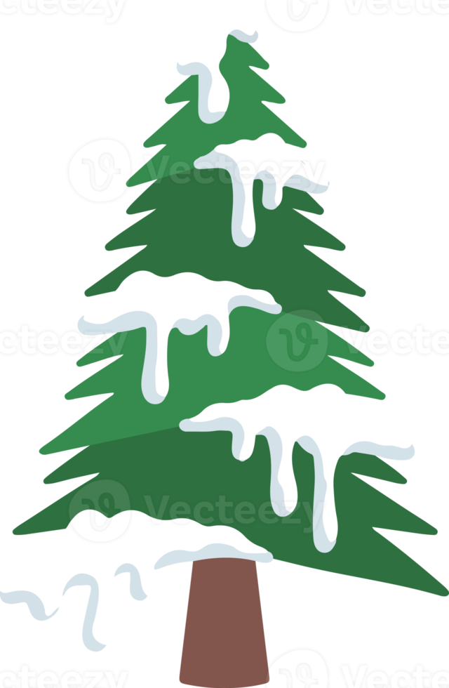 Christmas Watercolor Snowy winter Pine Tree png