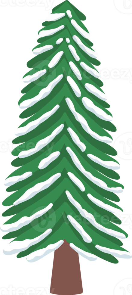 Snow Pine Tree Watercolor png