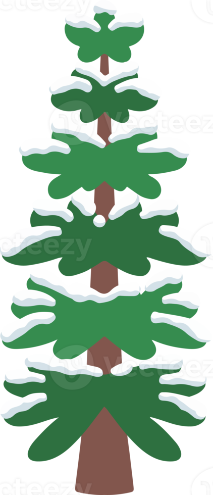 Snow Pine Tree Watercolor png