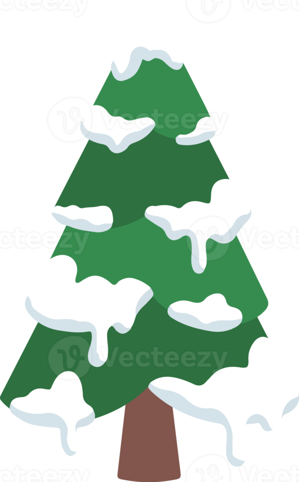 Christmas Pine Tree Snow Watercolor png