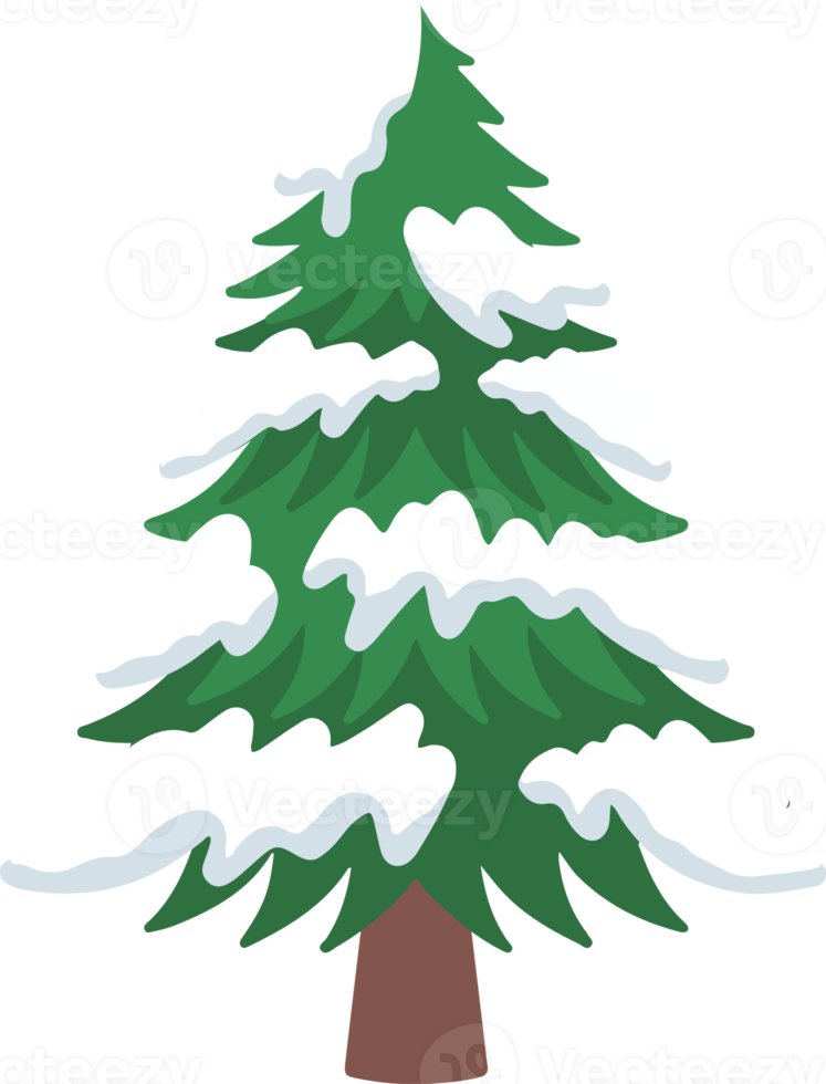 Christmas Pine Tree Snow Watercolor png