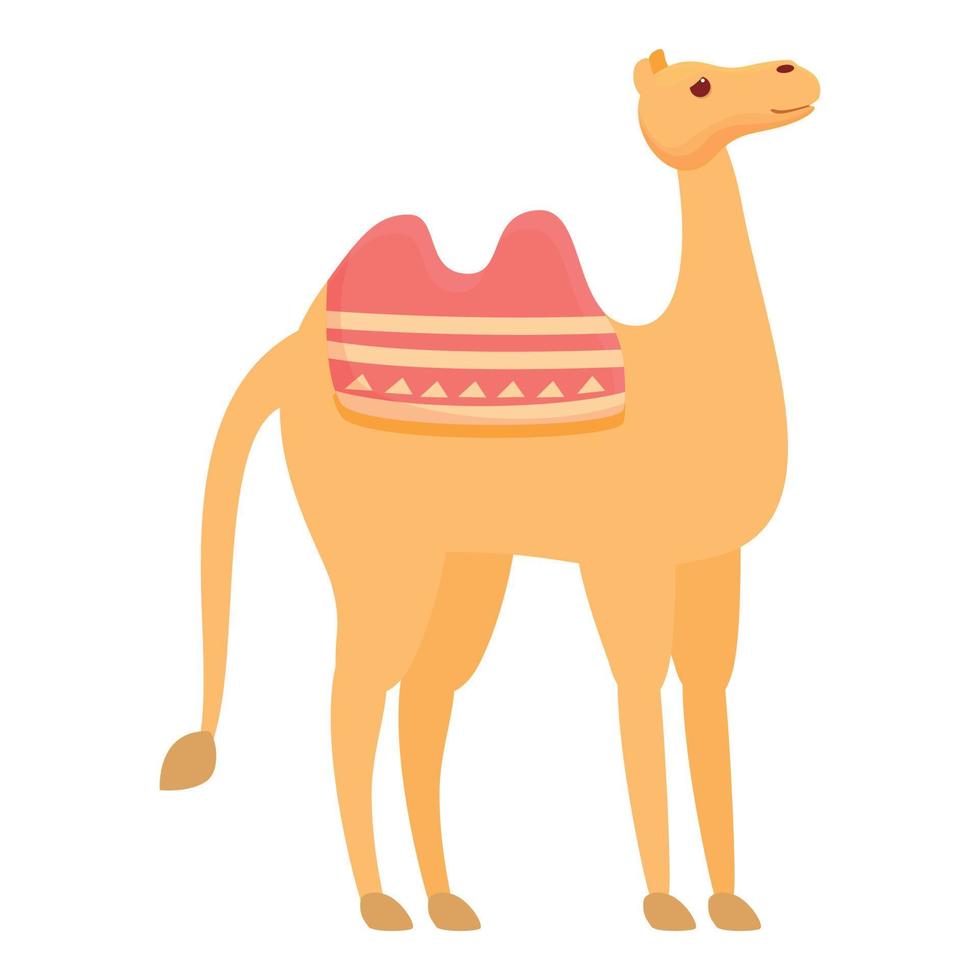 Exotic camel icon, cartoon style vector
