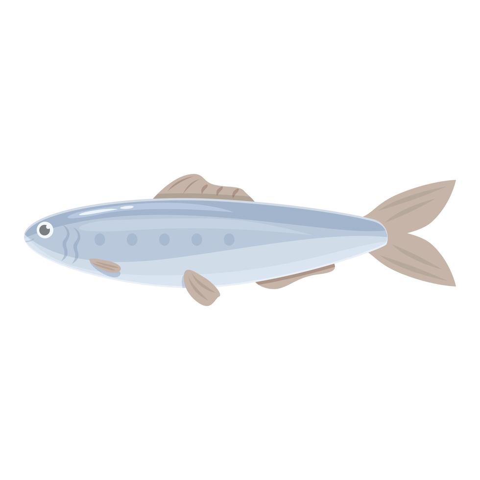 vector de dibujos animados de icono de sardina sardina. mariscos del océano