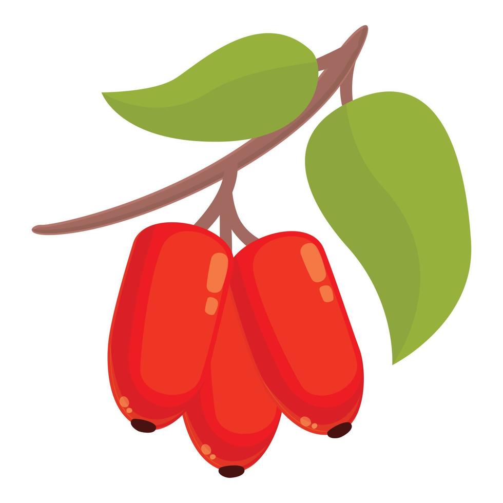 vector de dibujos animados de icono de fruta de goji. planta de bayas