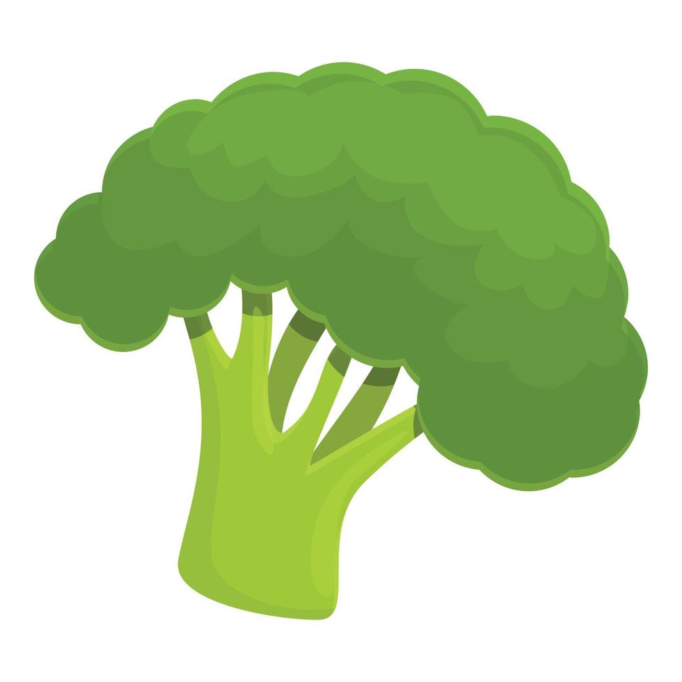 Fresh broccoli icon, cartoon style vector